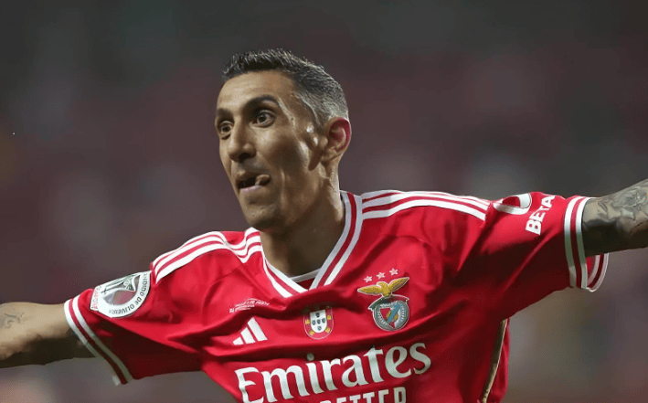 赛前体能课后；本菲卡豪取连胜备战中超；底气十足；控场能力受关注的简单介绍-欧宝在线入口